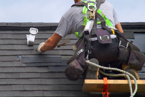 Roof Gutter Cleaning in Cementon, PA